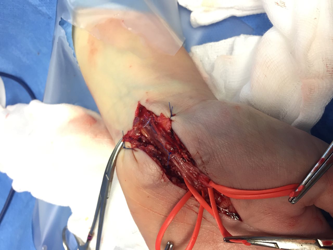 Giampaolo Monacelli-9