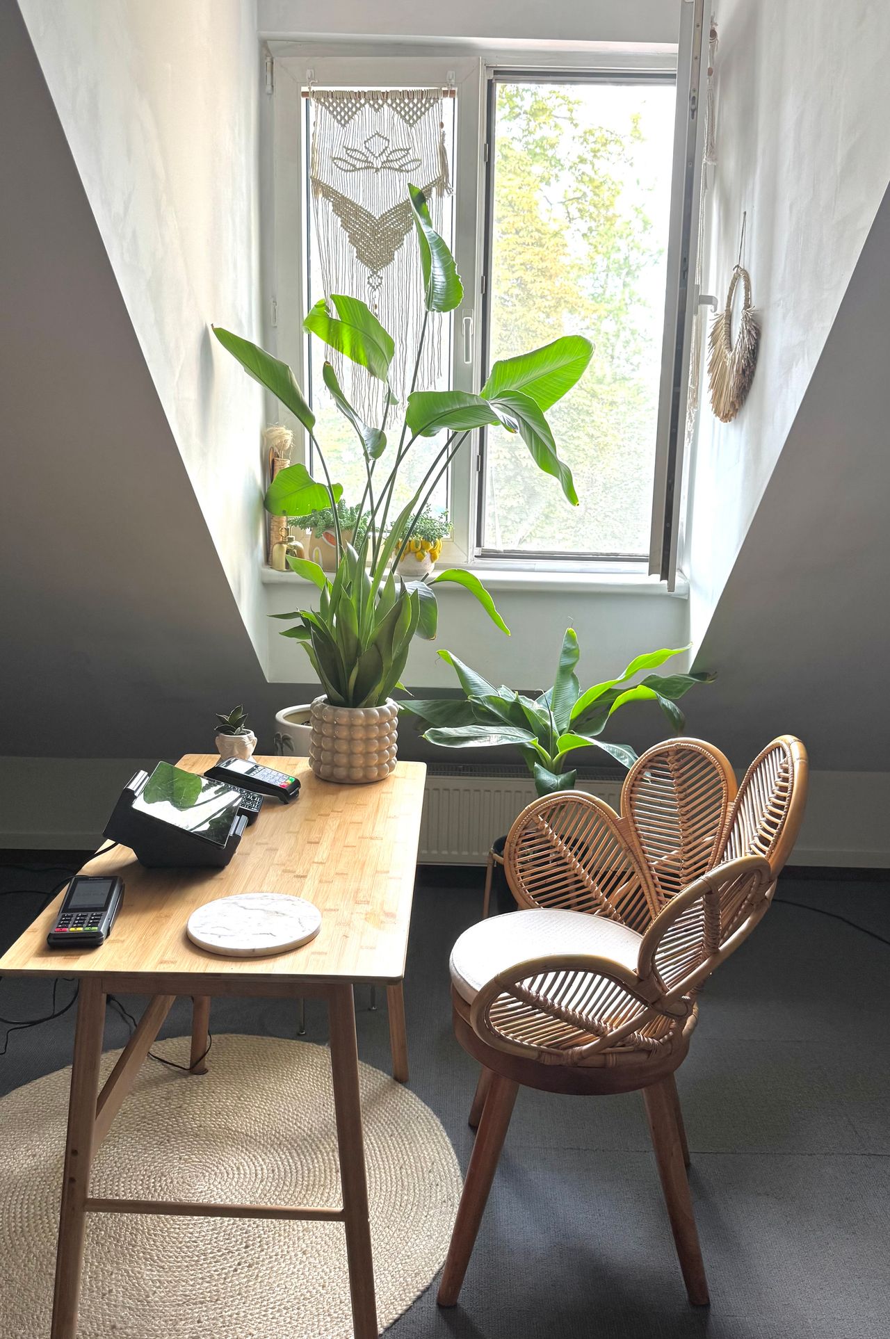 Angelika Śniady-Dyrda-2