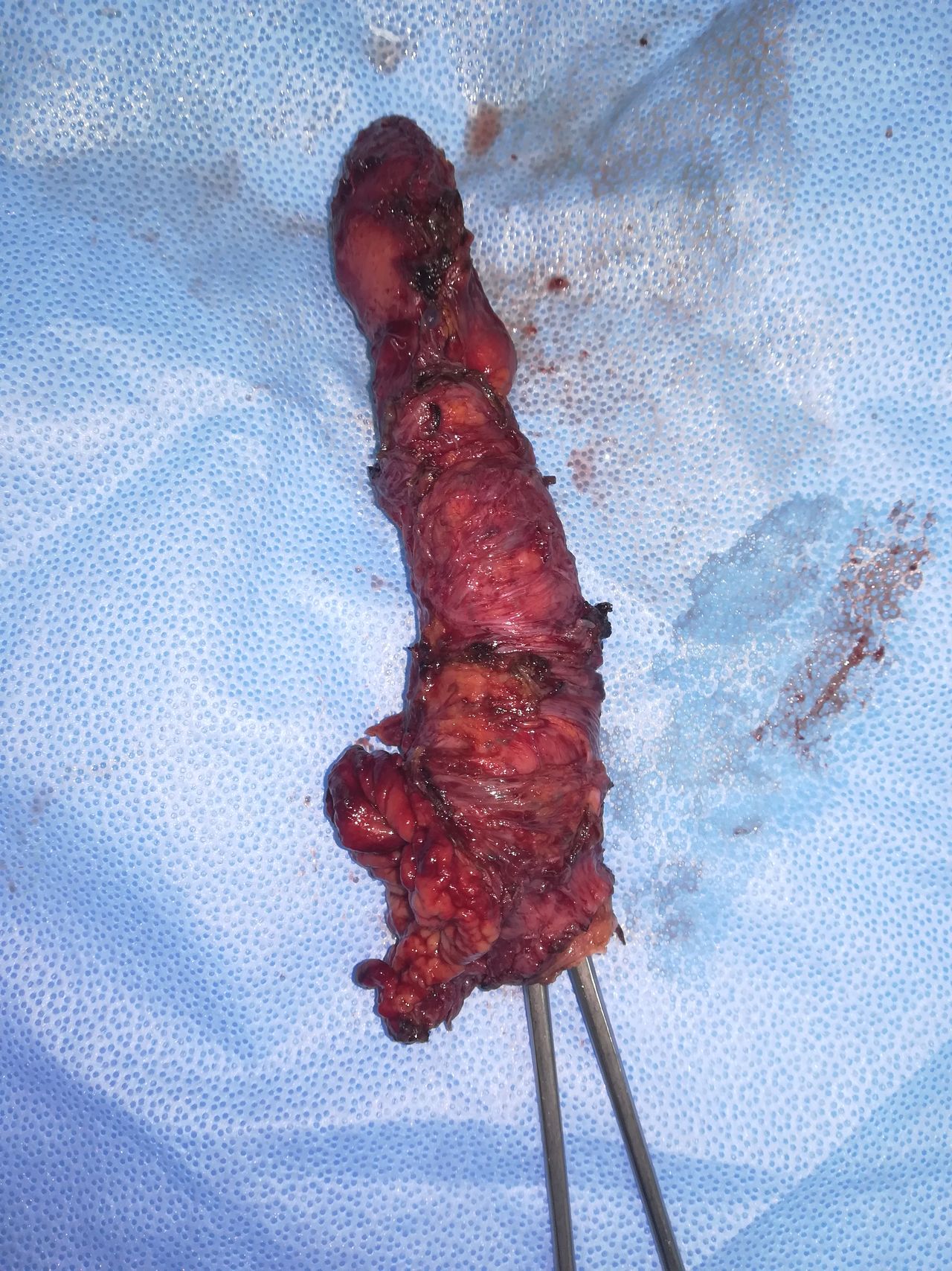 Marco Azzola Guicciardi-5