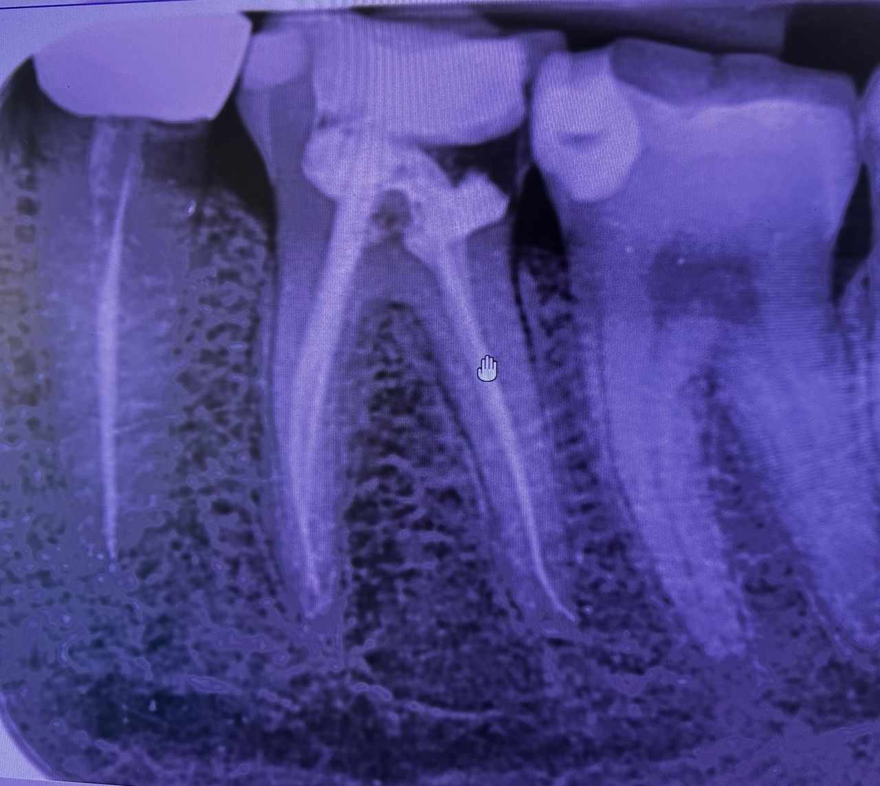 Carlo Andrea Rizzi-1