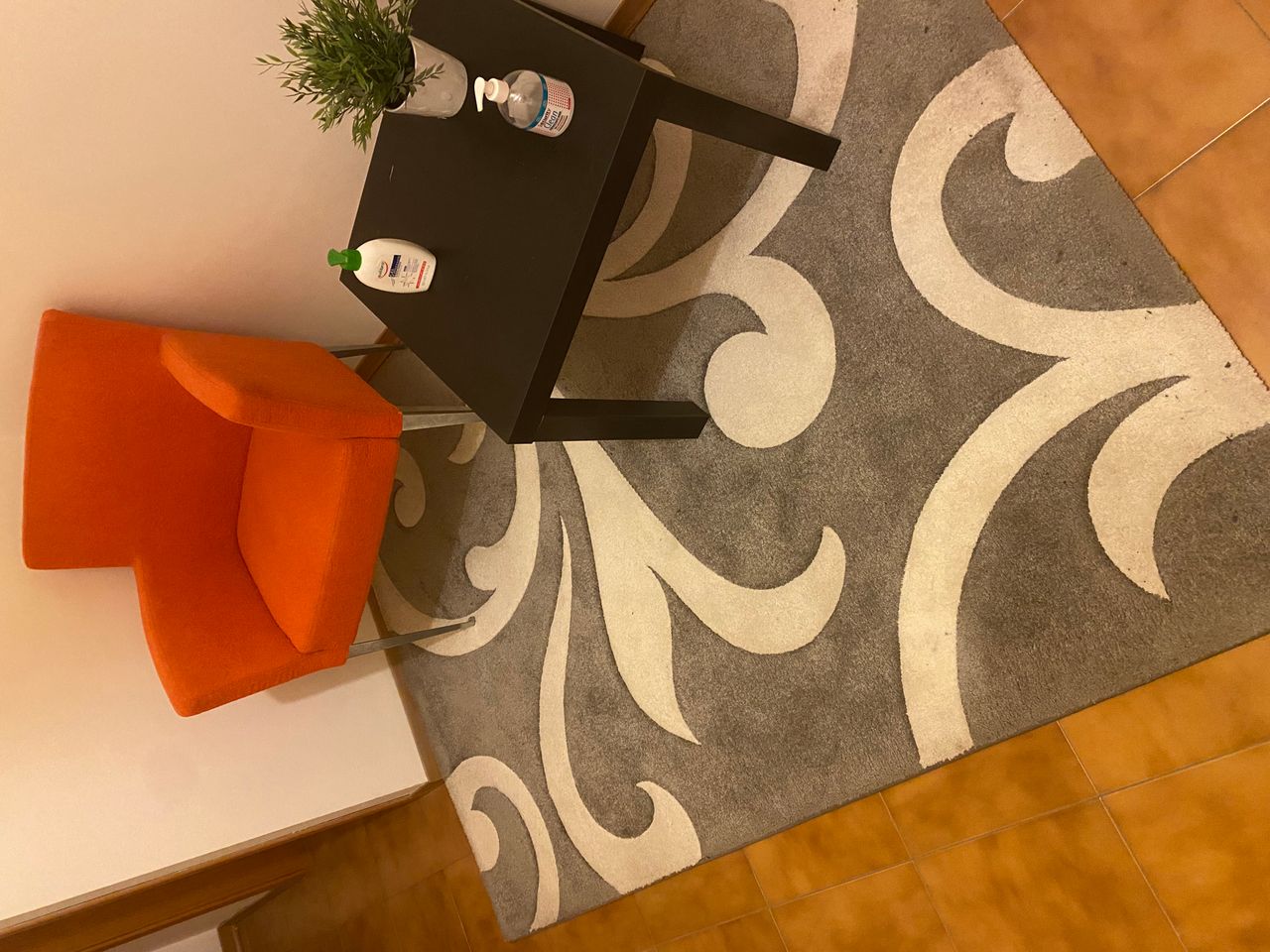 Simona Daniela Campo-0