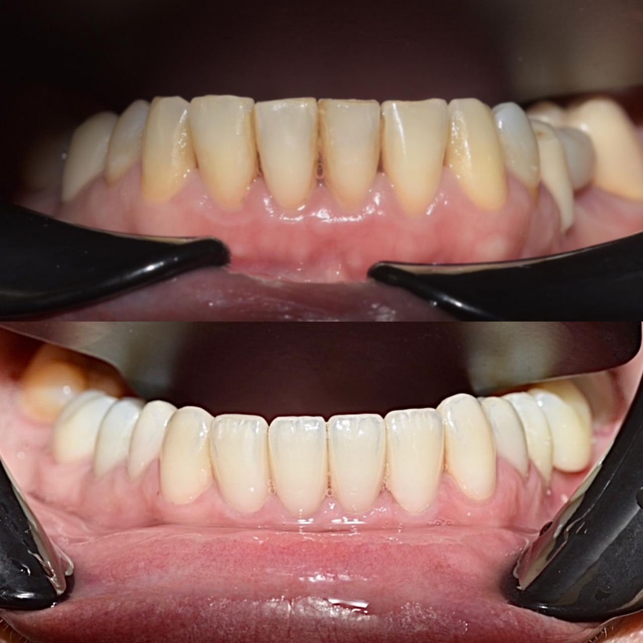 Veronica Dominici-17