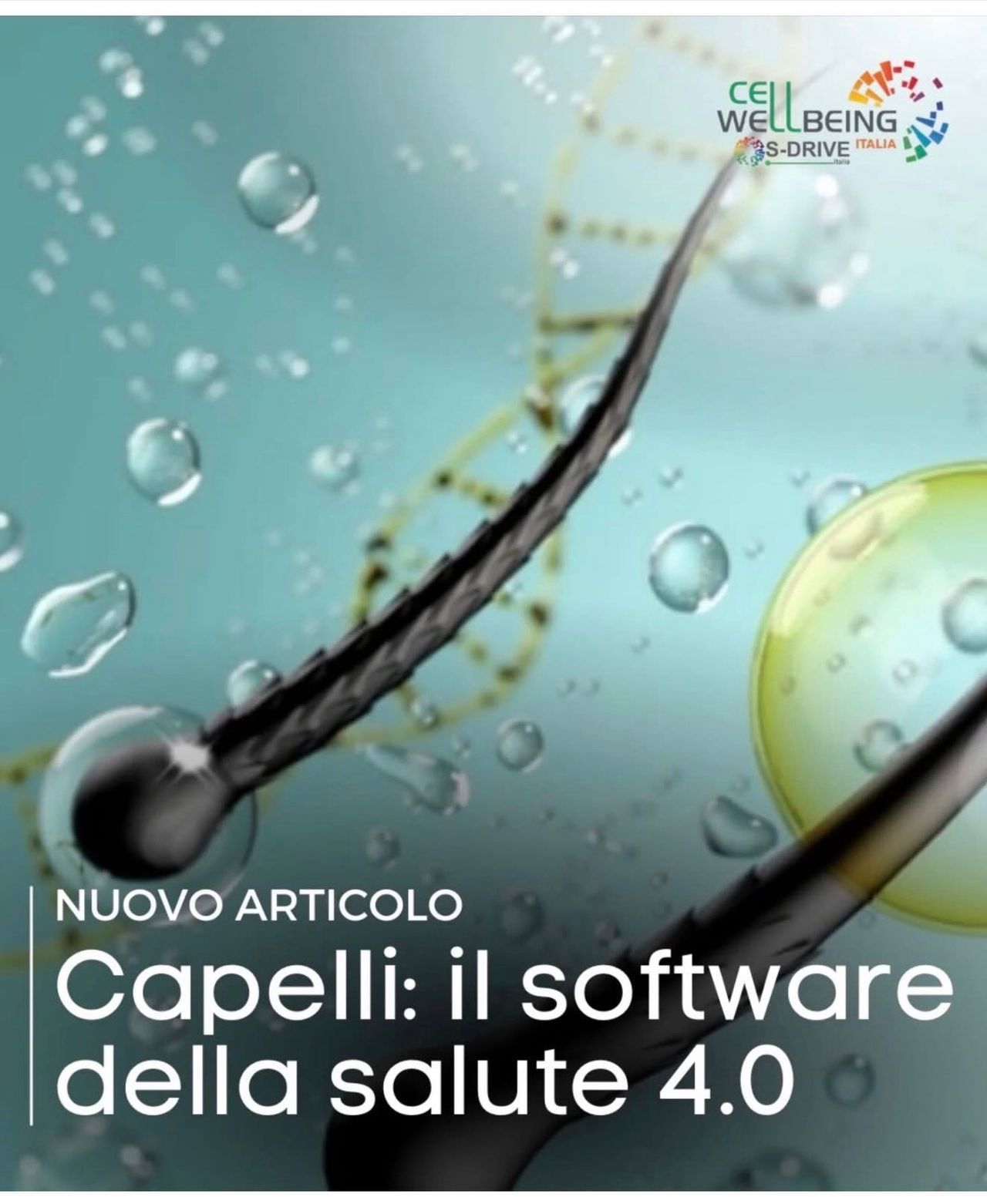Ignazio Sapuppo-20
