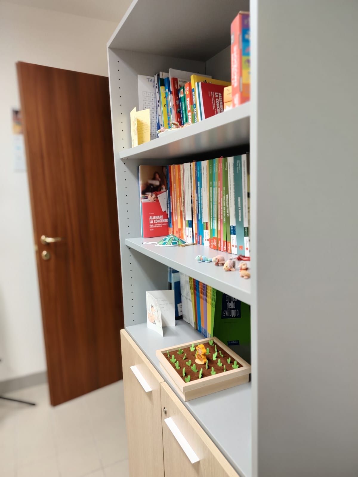 Denise De Zaiacomo-0