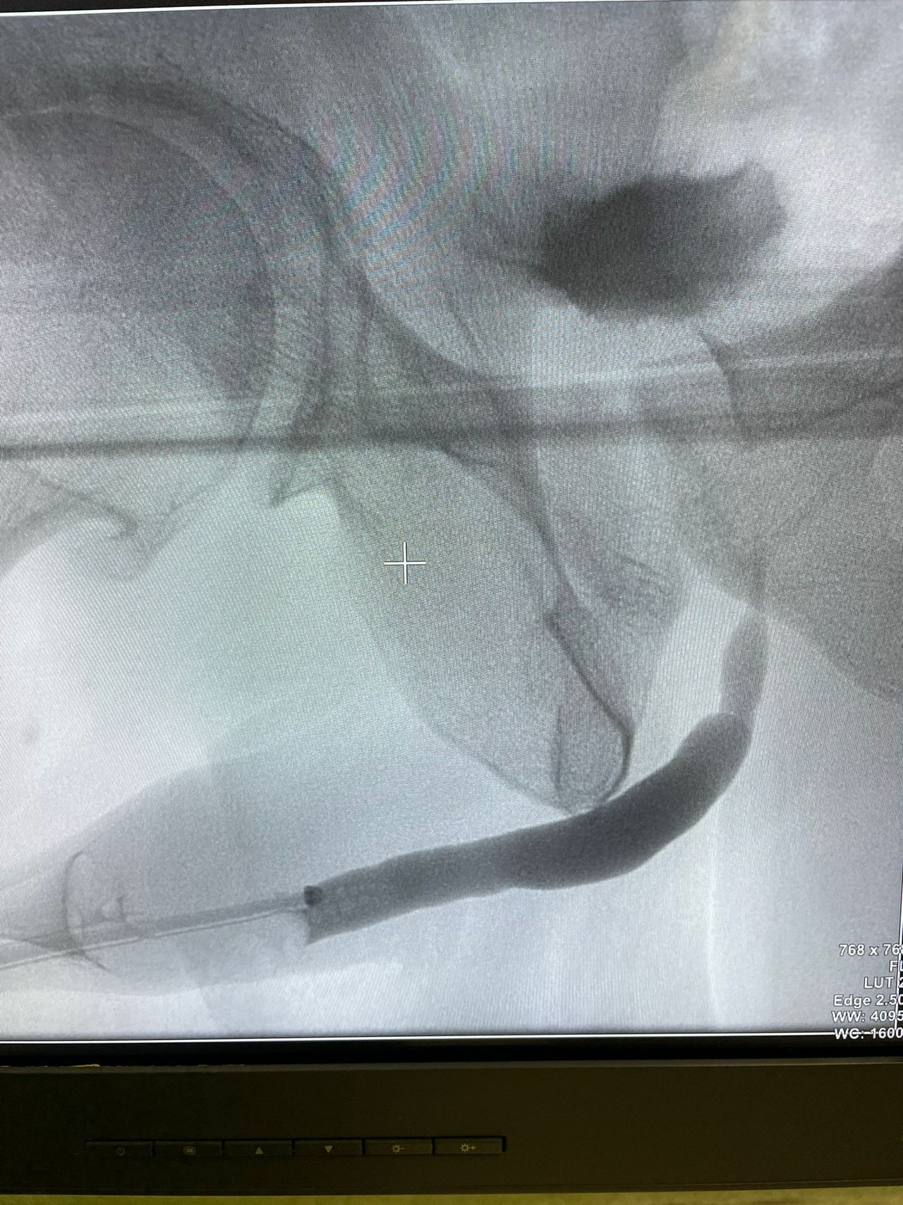 Salvatore Dioguardi-1