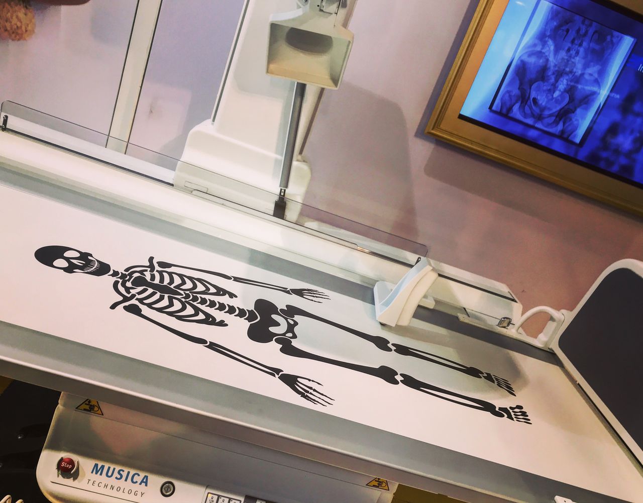 Justyna Michalczak-3