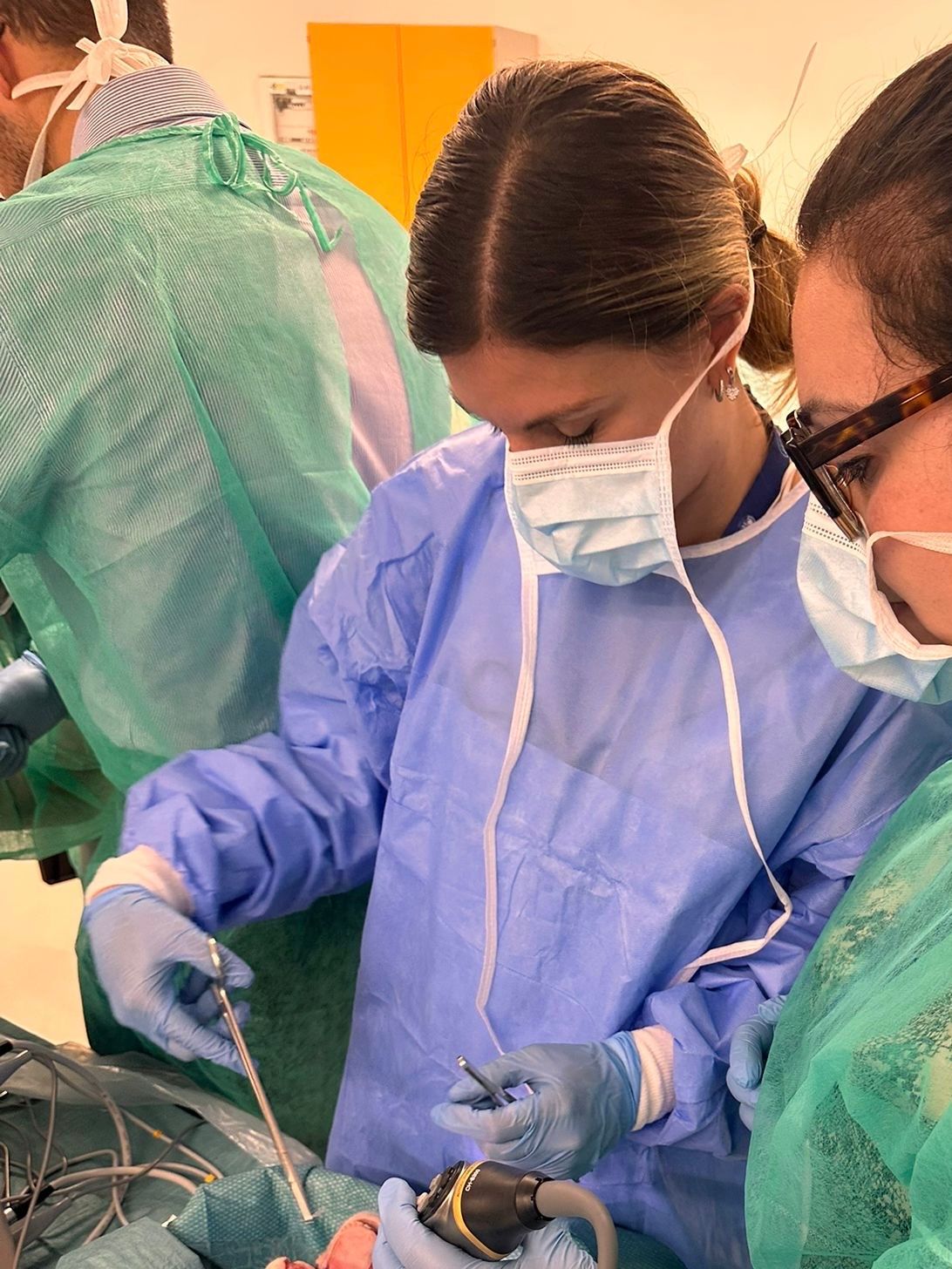 Maria Elvira Distefano-5