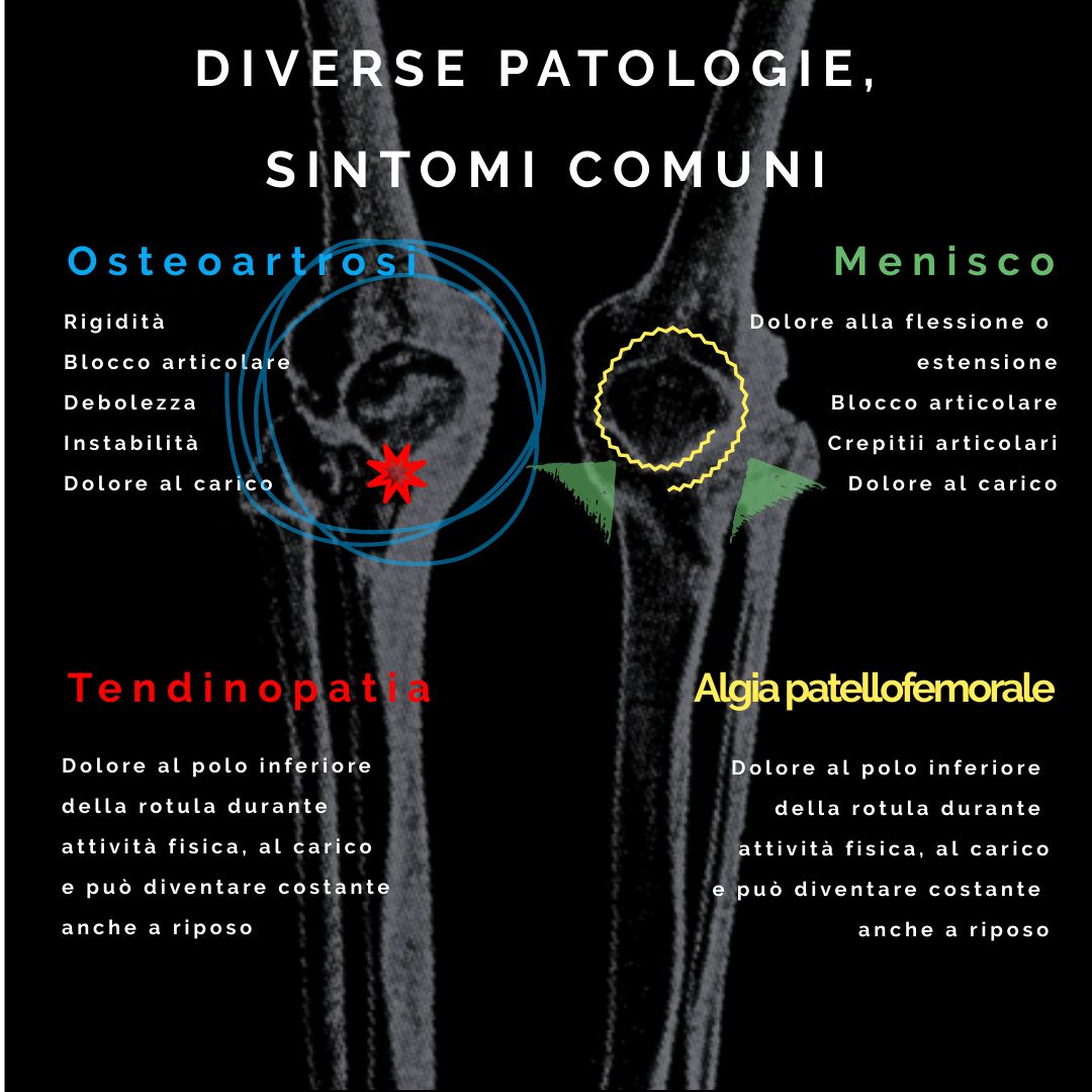Tommaso Albertini-23