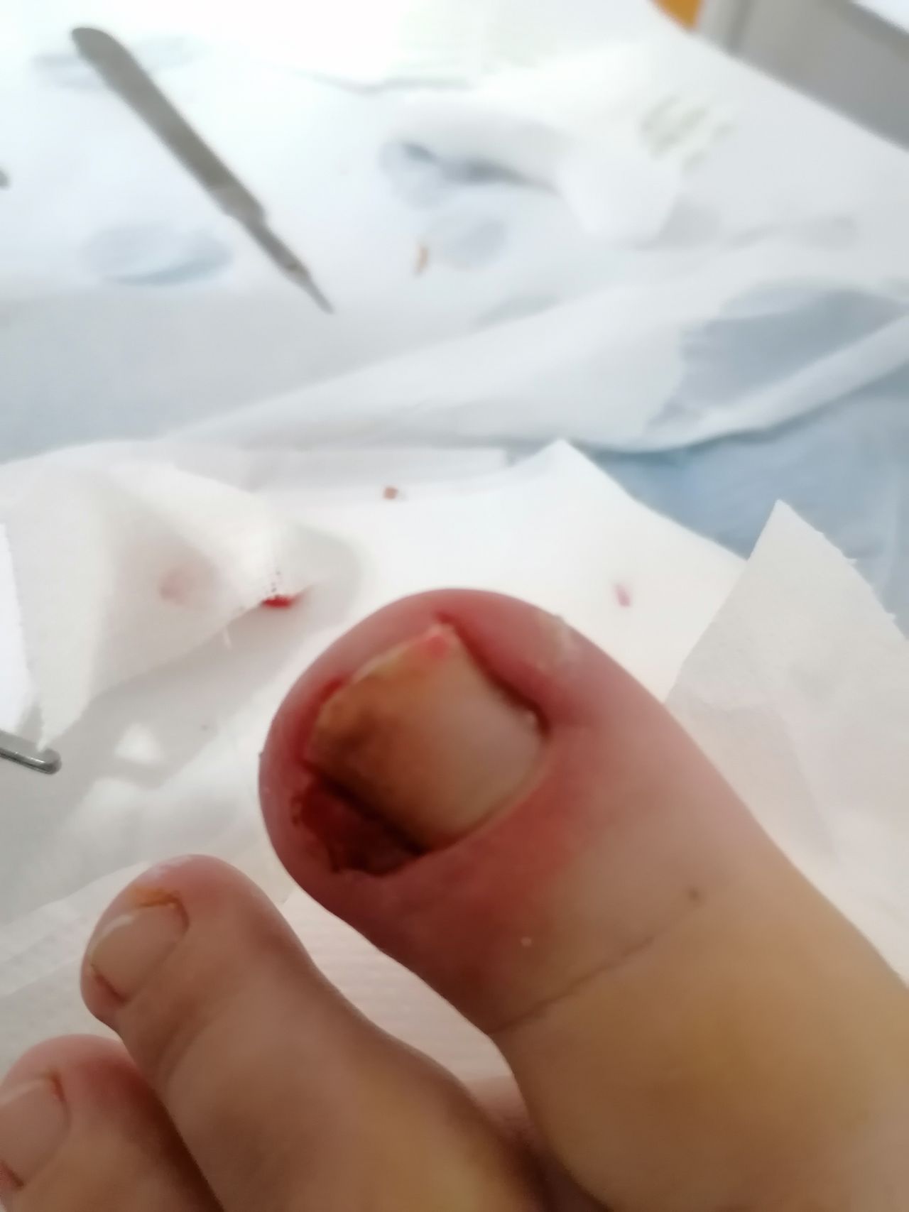 Kassandra Nicolosi-94