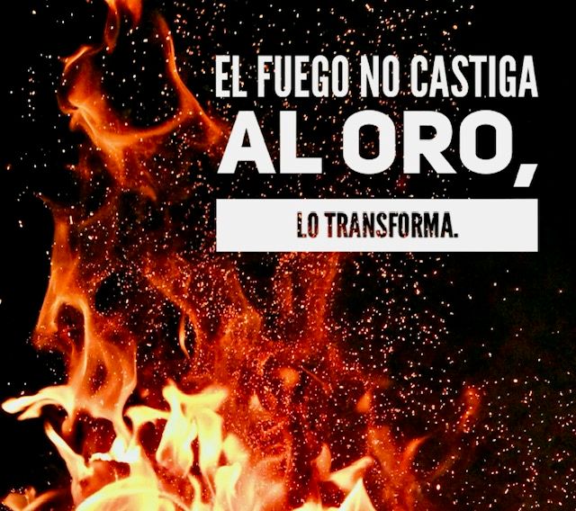 Mª Dolors Fernandez Rodriguez-13