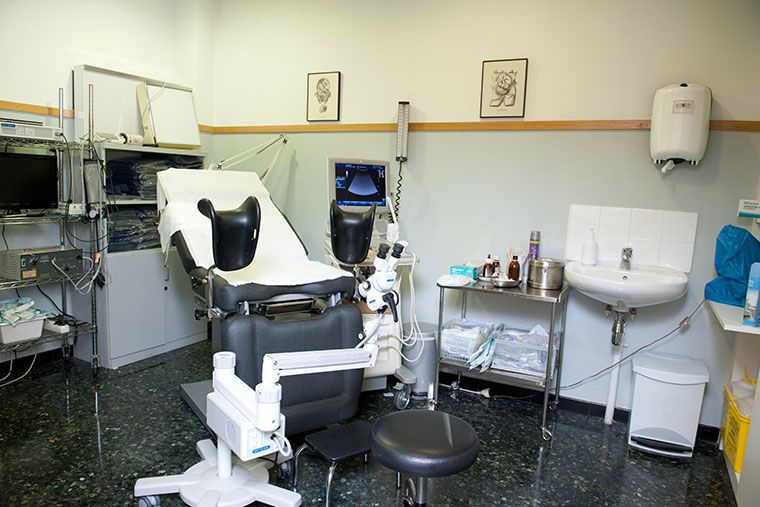 Yolanda Piazuelo Alonso-1