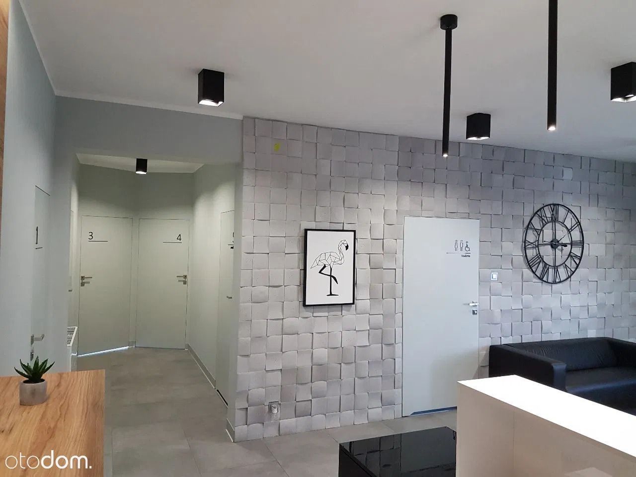 Joanna Sybistowicz-7