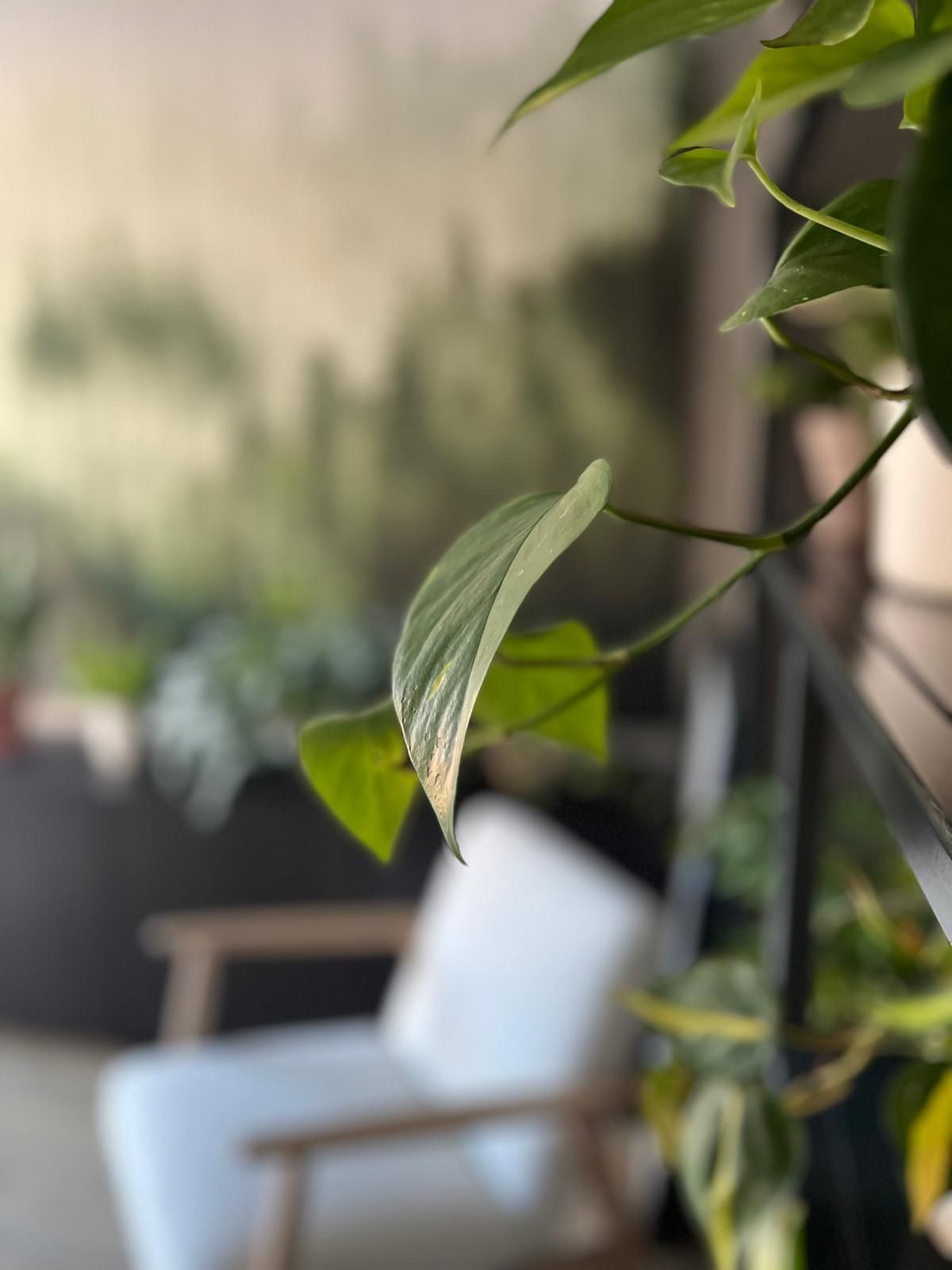 Patryk Kawczyński-7