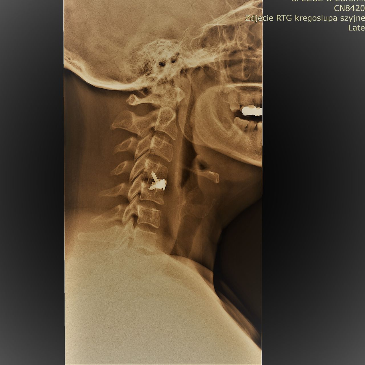 Jarosław Andrychowski-19