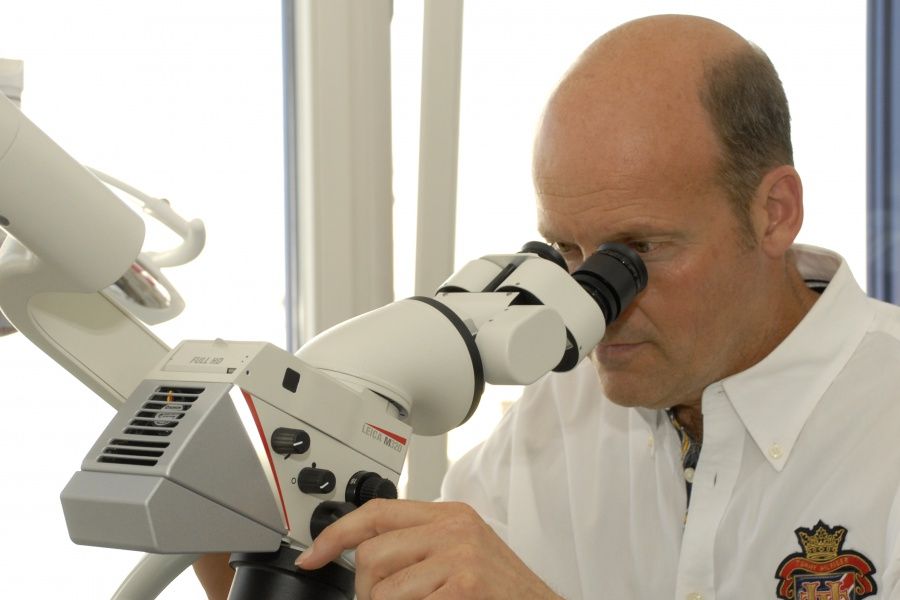 M.a. Thomas Höner-5