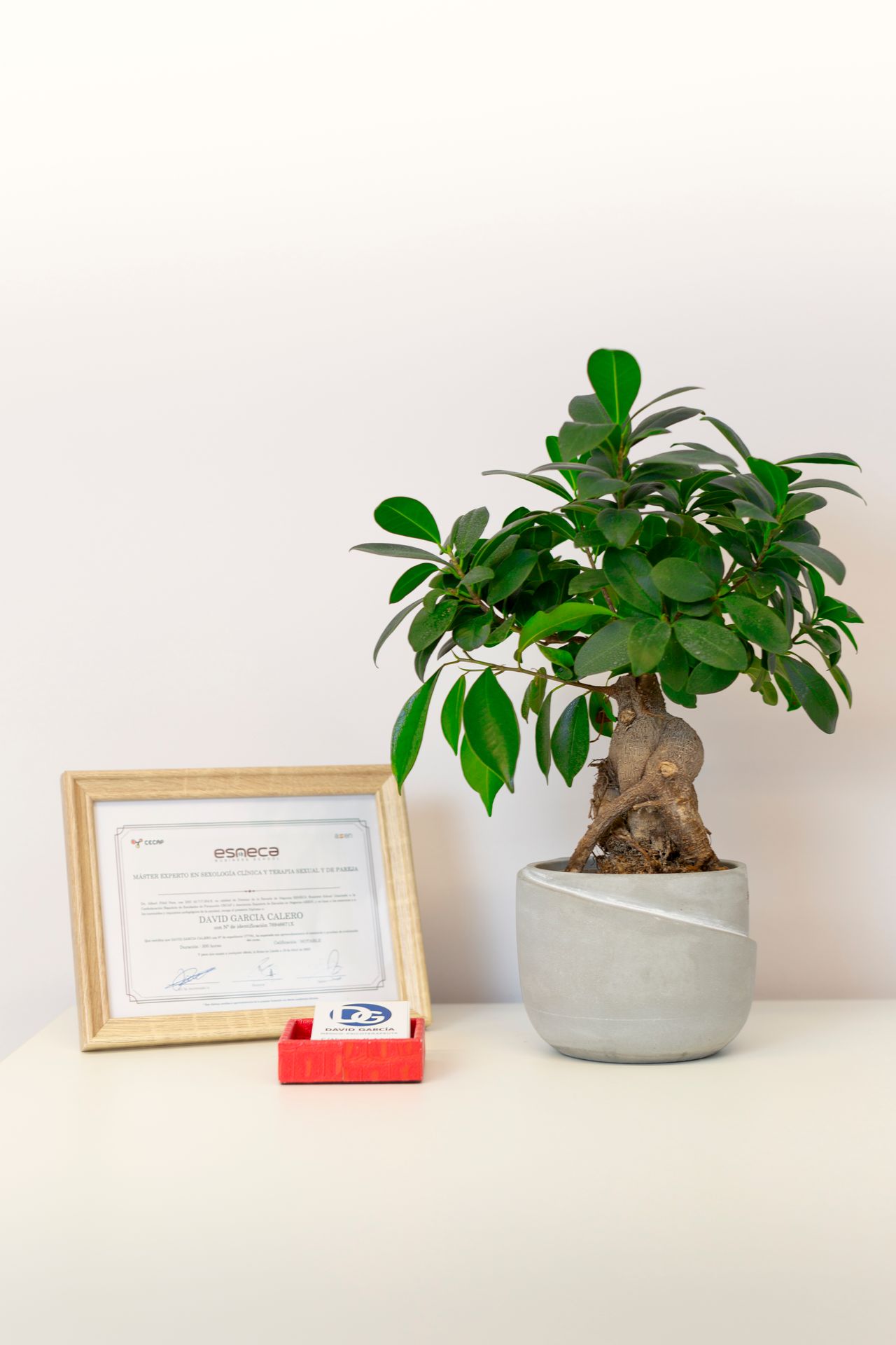 David García Calero-4