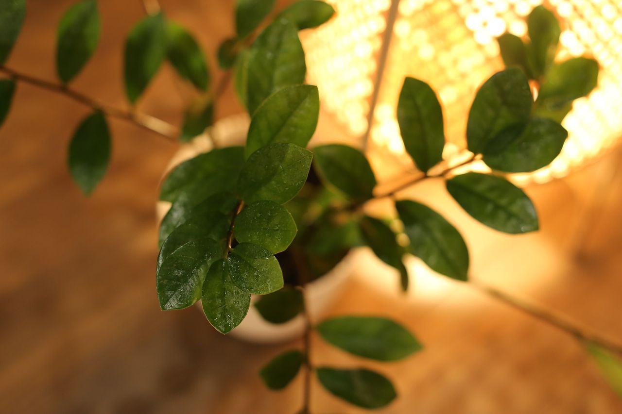 Marta Sędzielewska-Kotynia-6