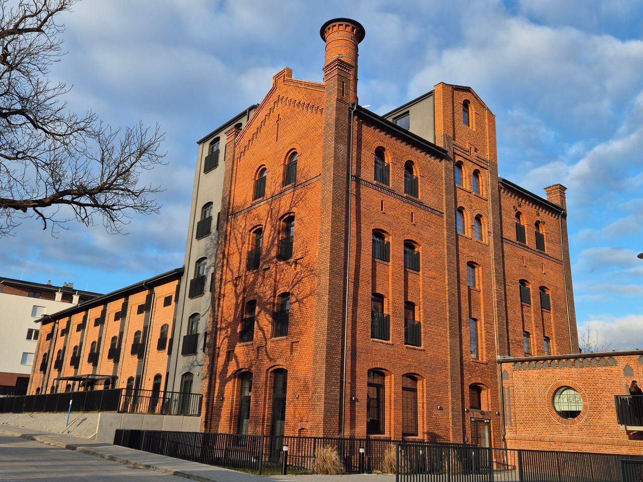 Eliza Popiel-Cebula-0