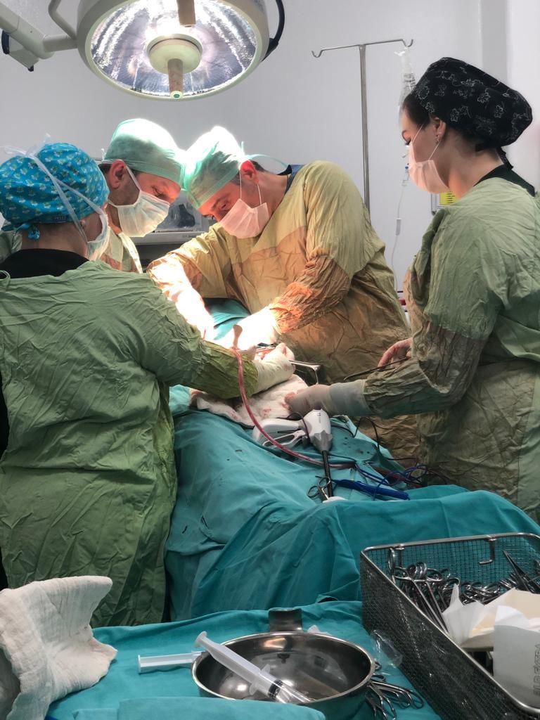 Ömer Fatih Çelik-0