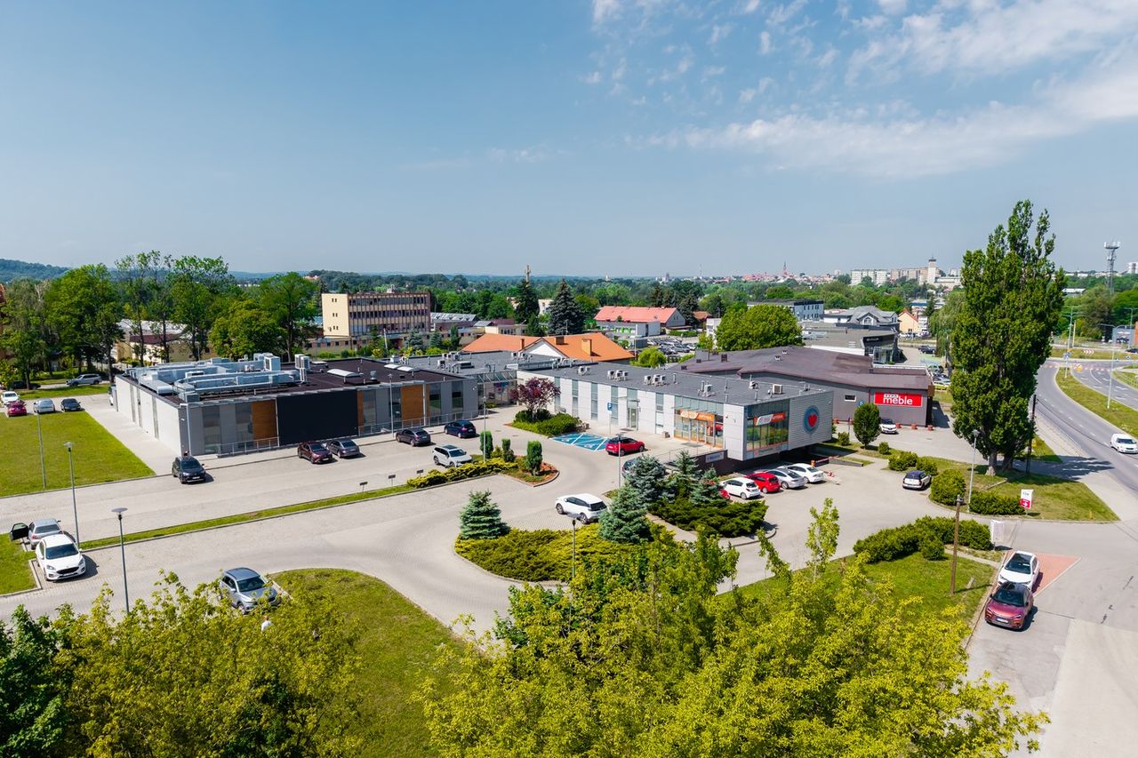 Mikołaj Kusibab-6