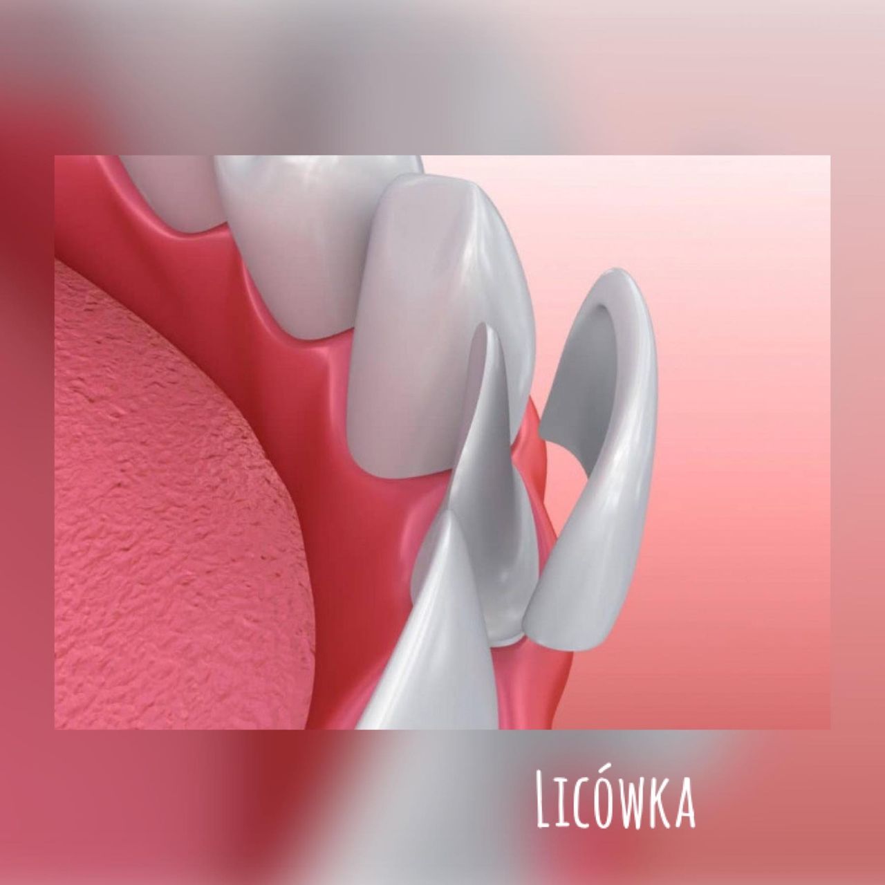 Karolina Anna Kownacka-5