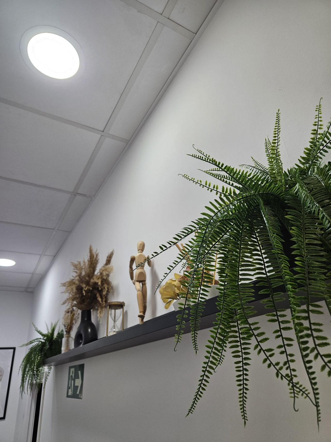 Mauricio Andrés Sobarzo Gavilán-6