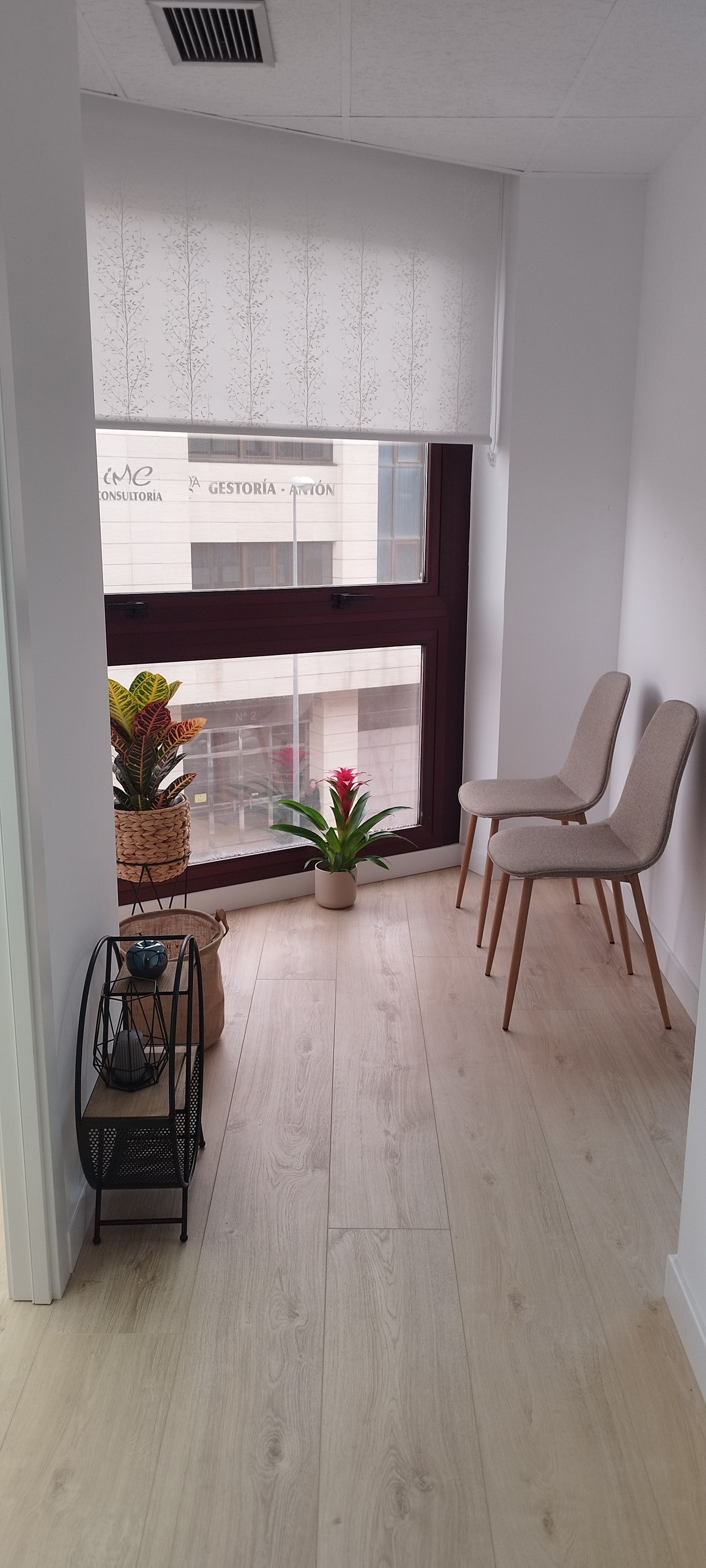 Patricia Vera Gonzalez-1