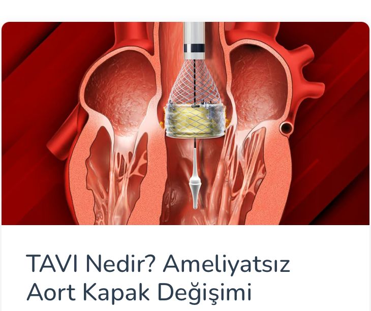 Assoc. Prof. Dr. Musa Çakıcı-2