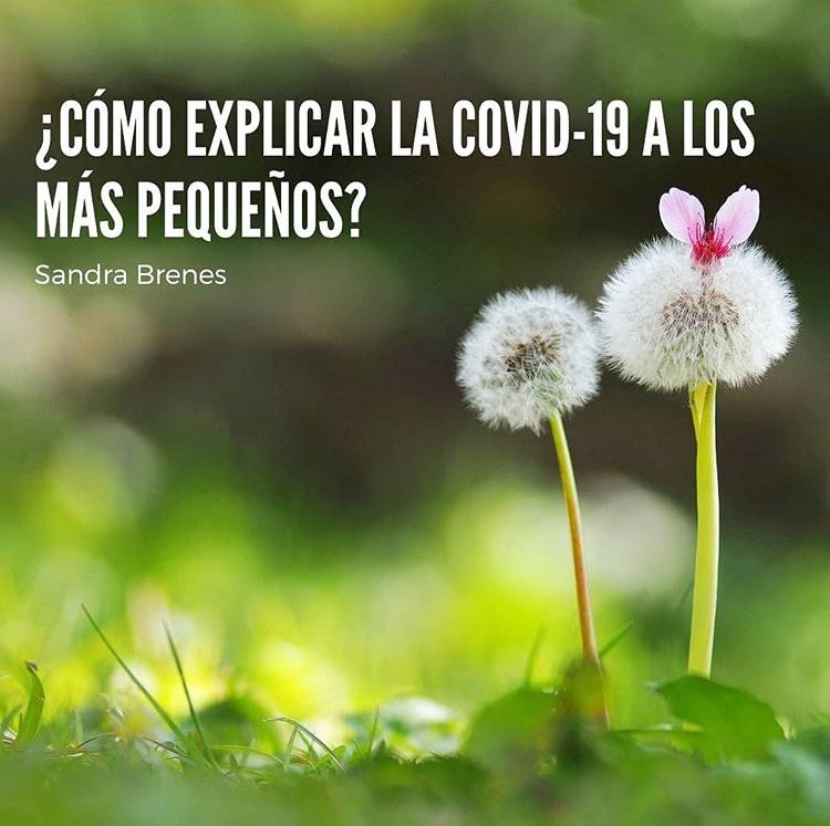 Sandra Brenes Reyes-4