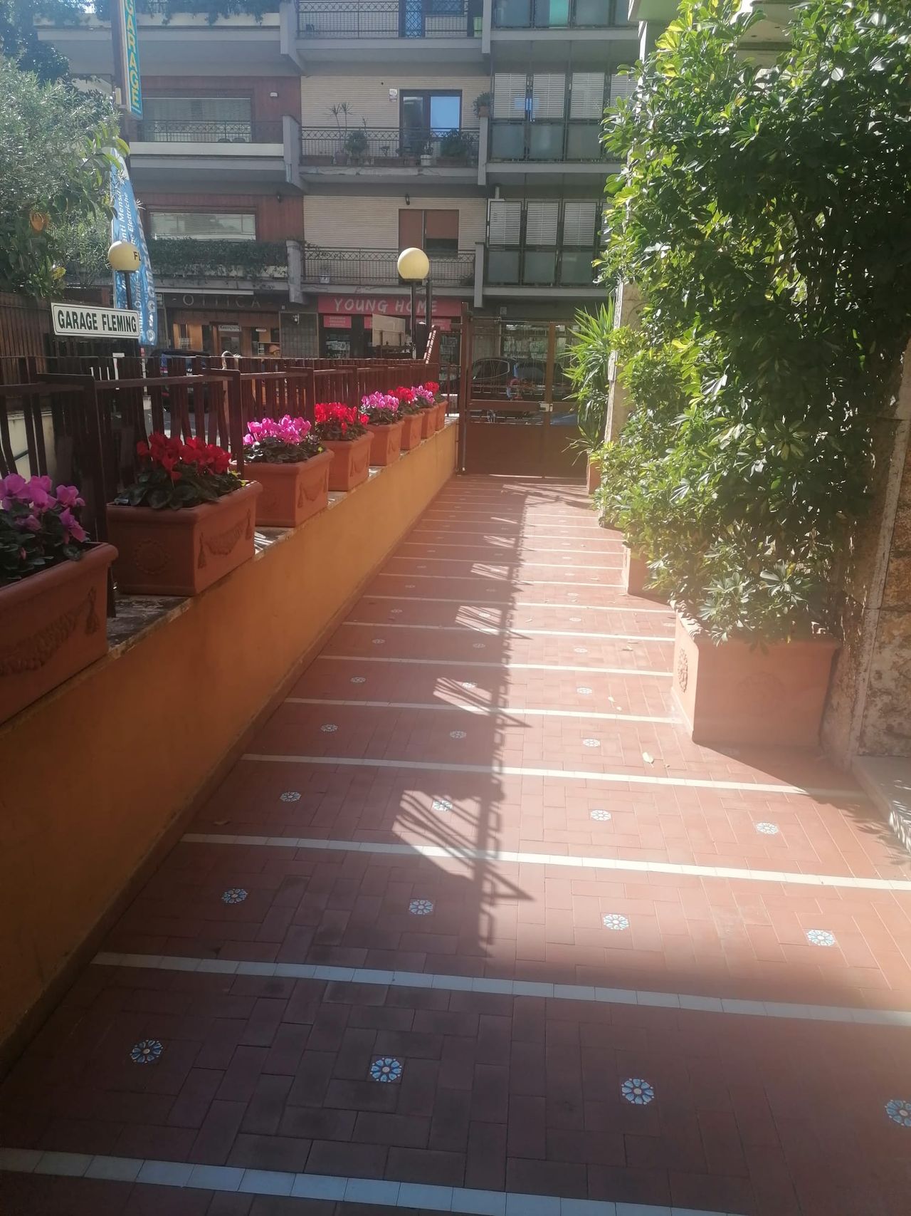 Famiano Meneschincheri-7