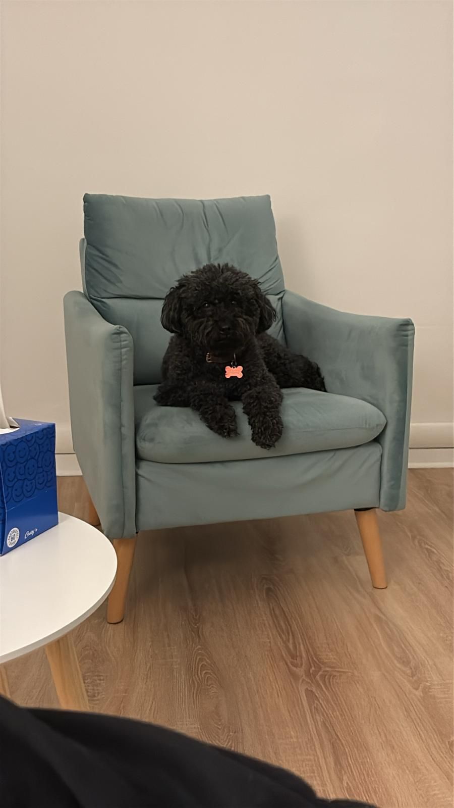 Giuseppe Umberto Rizzo-7