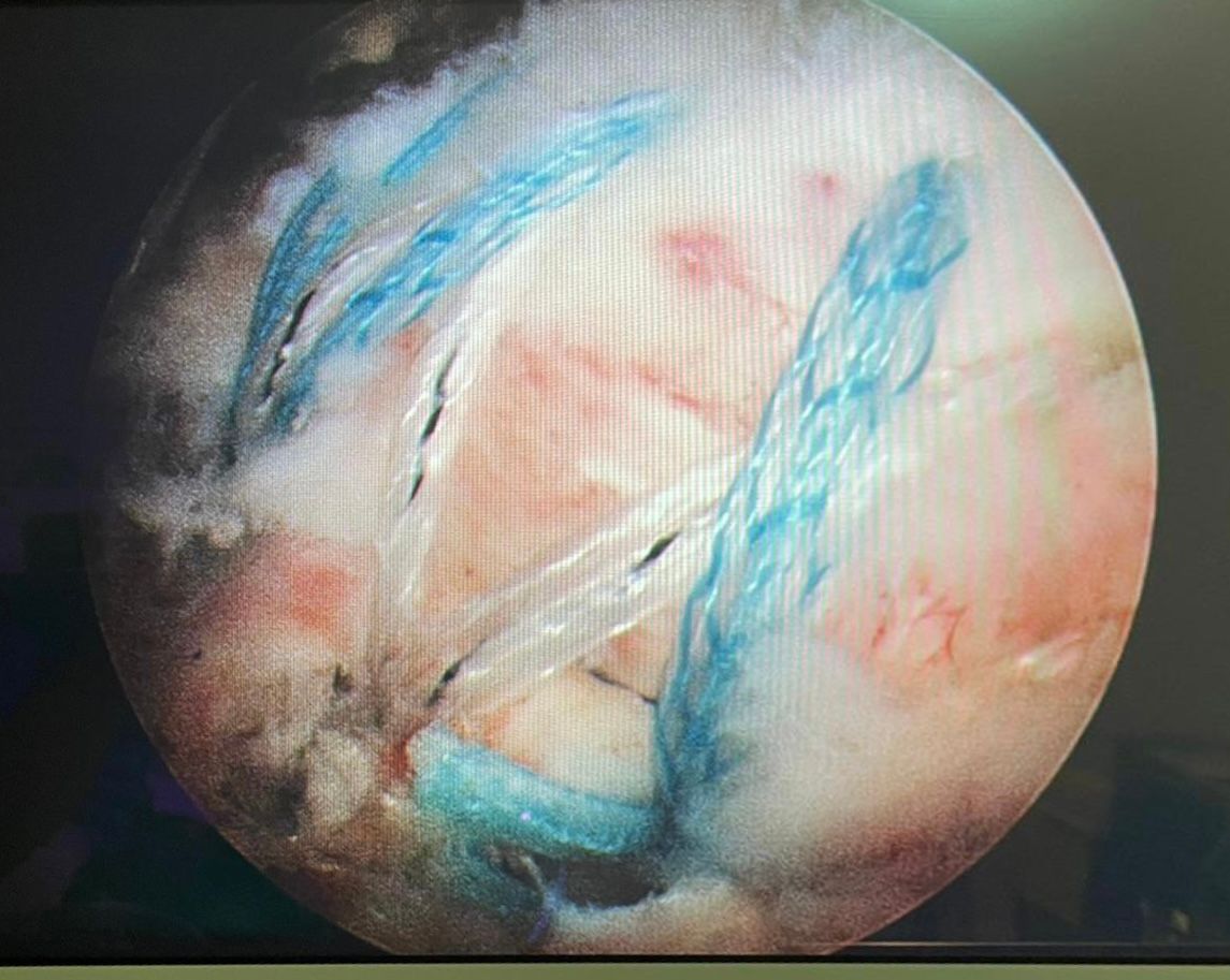 Manel Panadero Moncusi-5