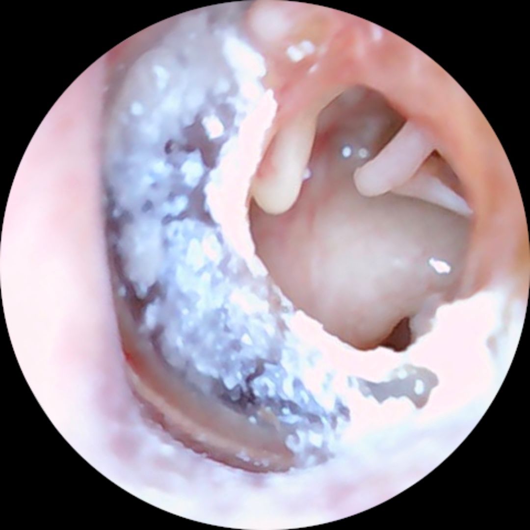 José María Santos Corchero-1