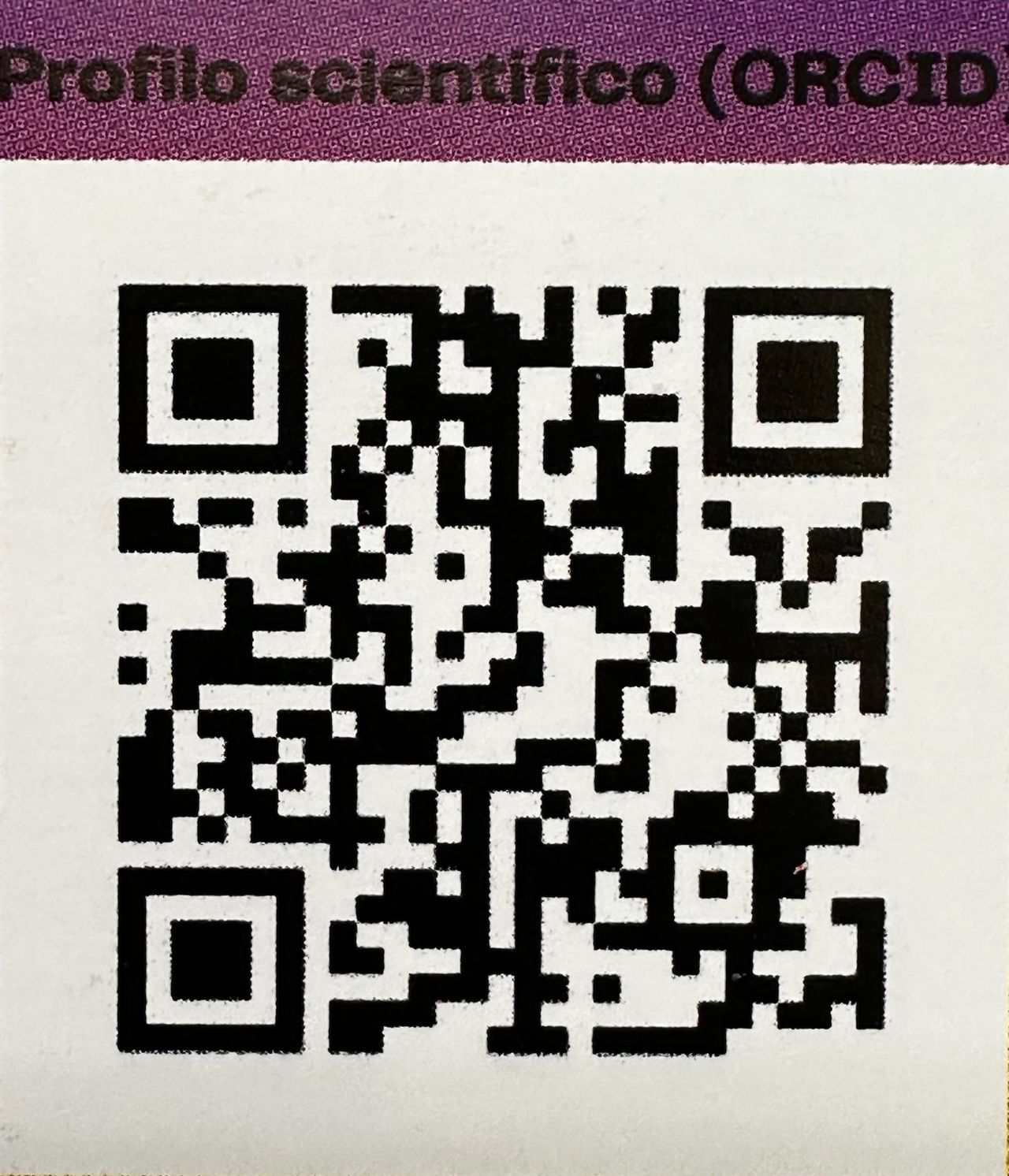 Pierluigi Chimento-0