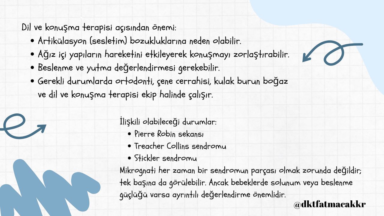 Fatma Çakır-47