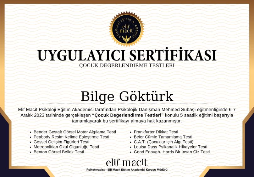 Bilge Göktürk-0