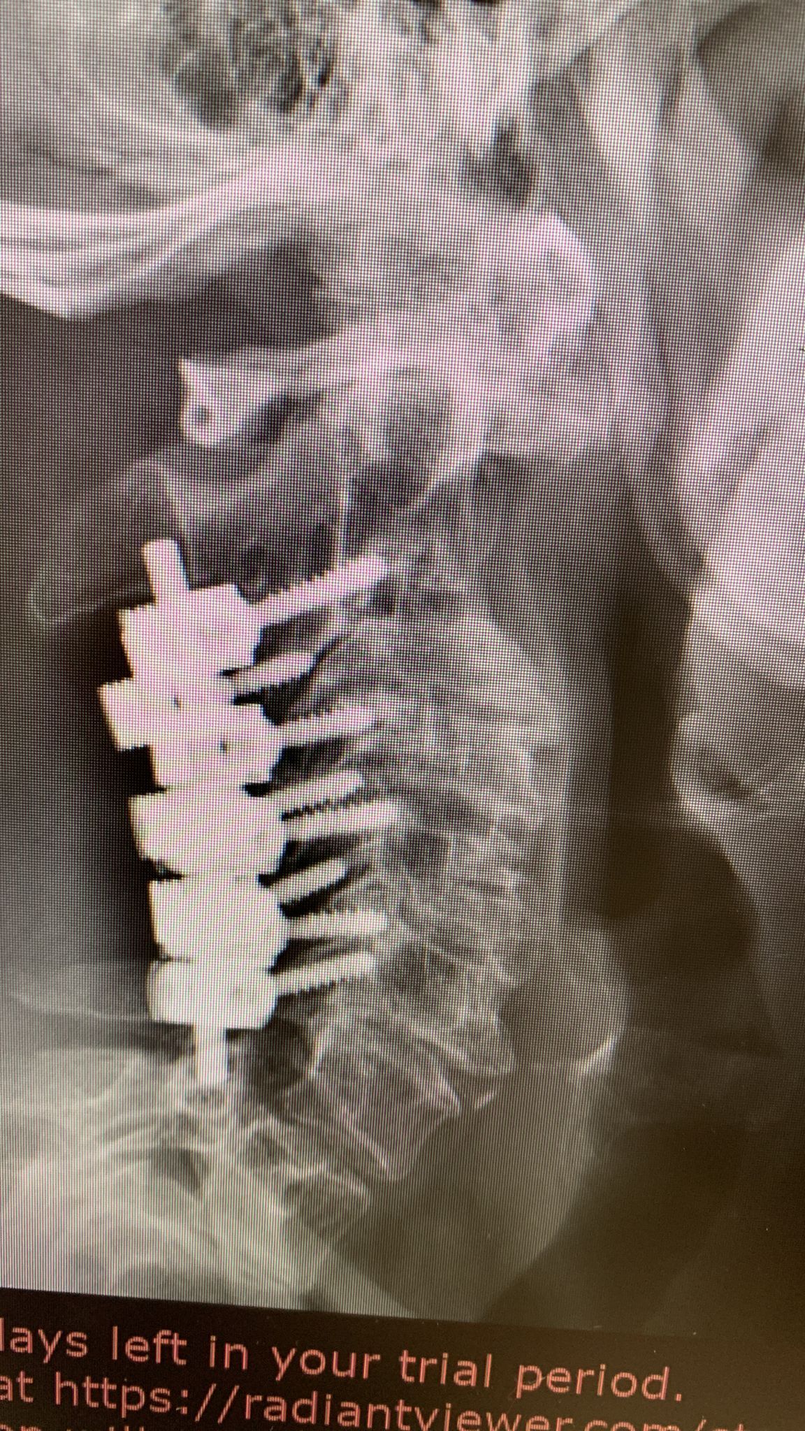 Alessandro Rapisarda-4