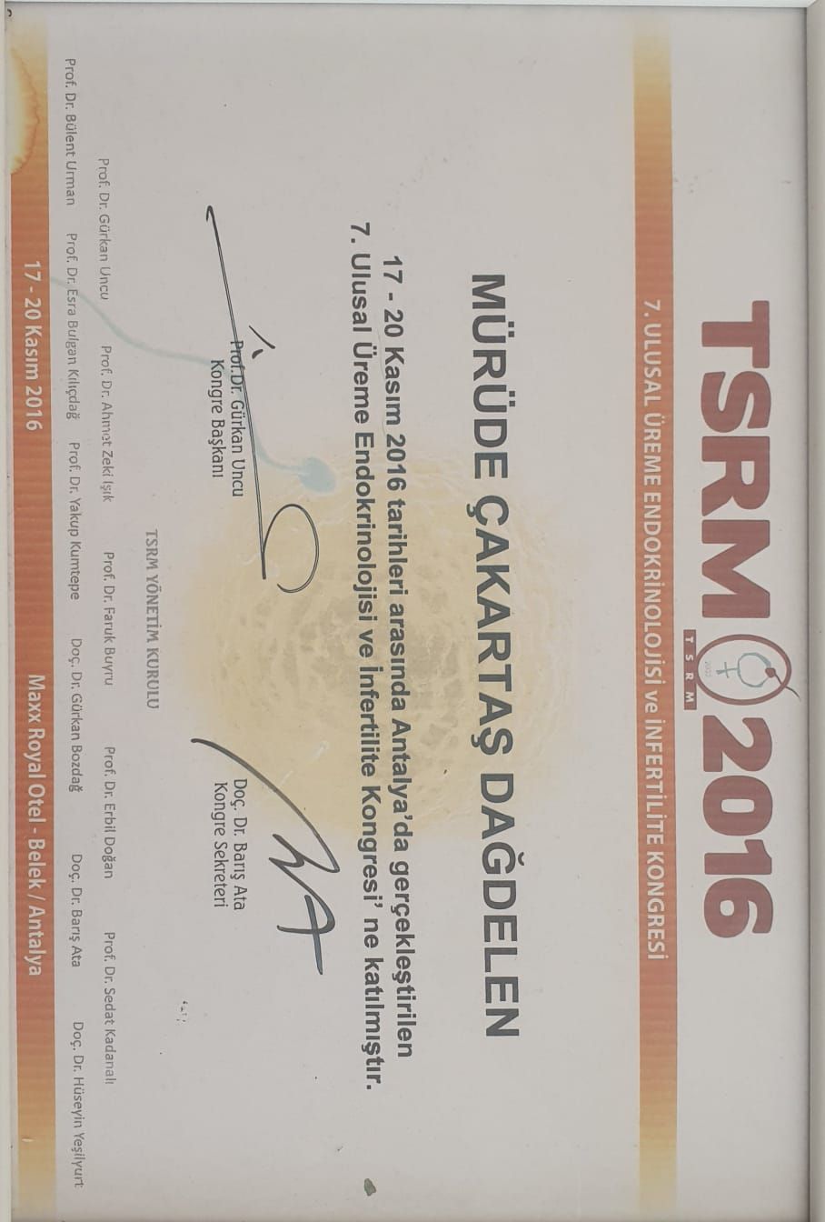 Mürüde Çakartaş Dağdelen-12