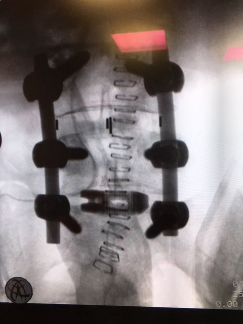 Massimo Brandolin-17