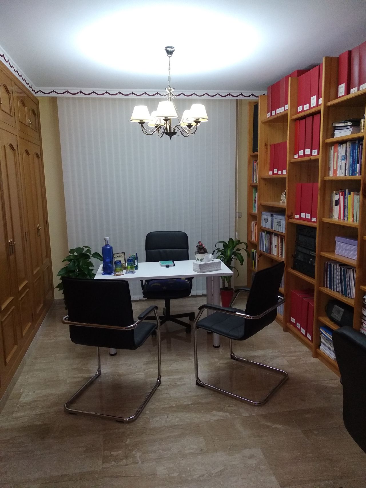 Pepa Escobar Martínez-12