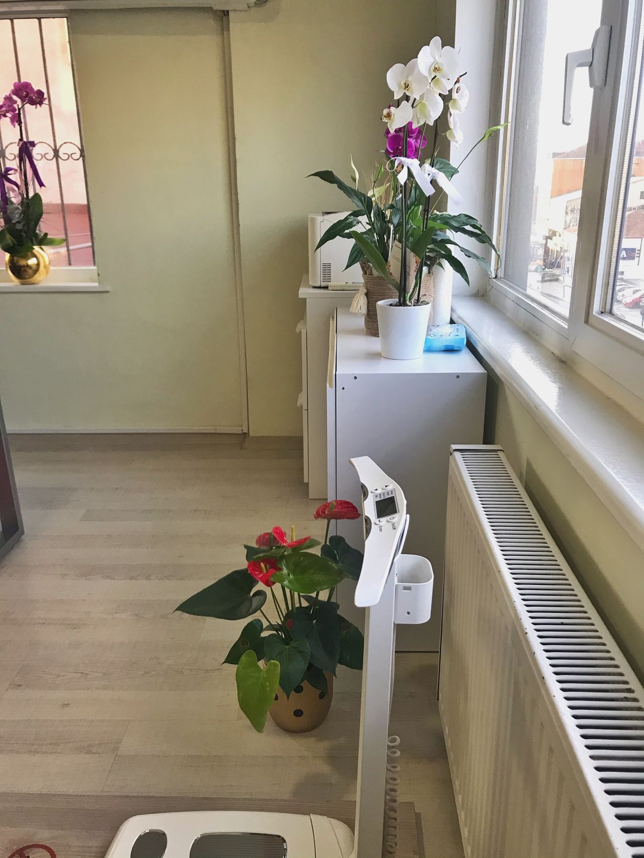 Melike Ertaylan Saatçı-3