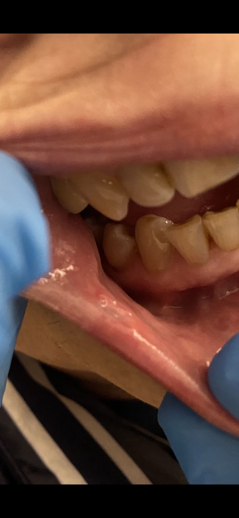 Luigi Giuseppe Romano-11