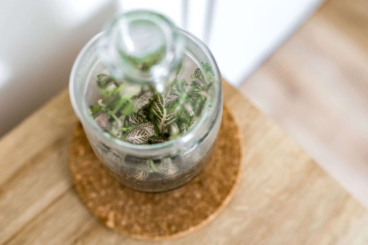 Agata Poręba-Chabros-10