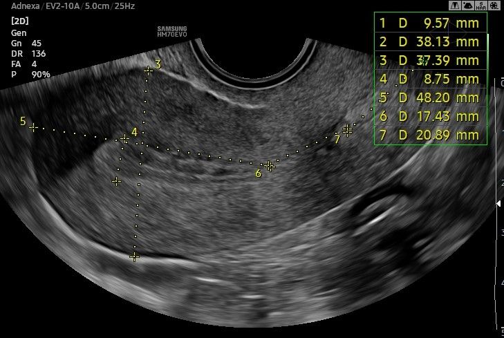 Francesca Letizia Vellucci-3