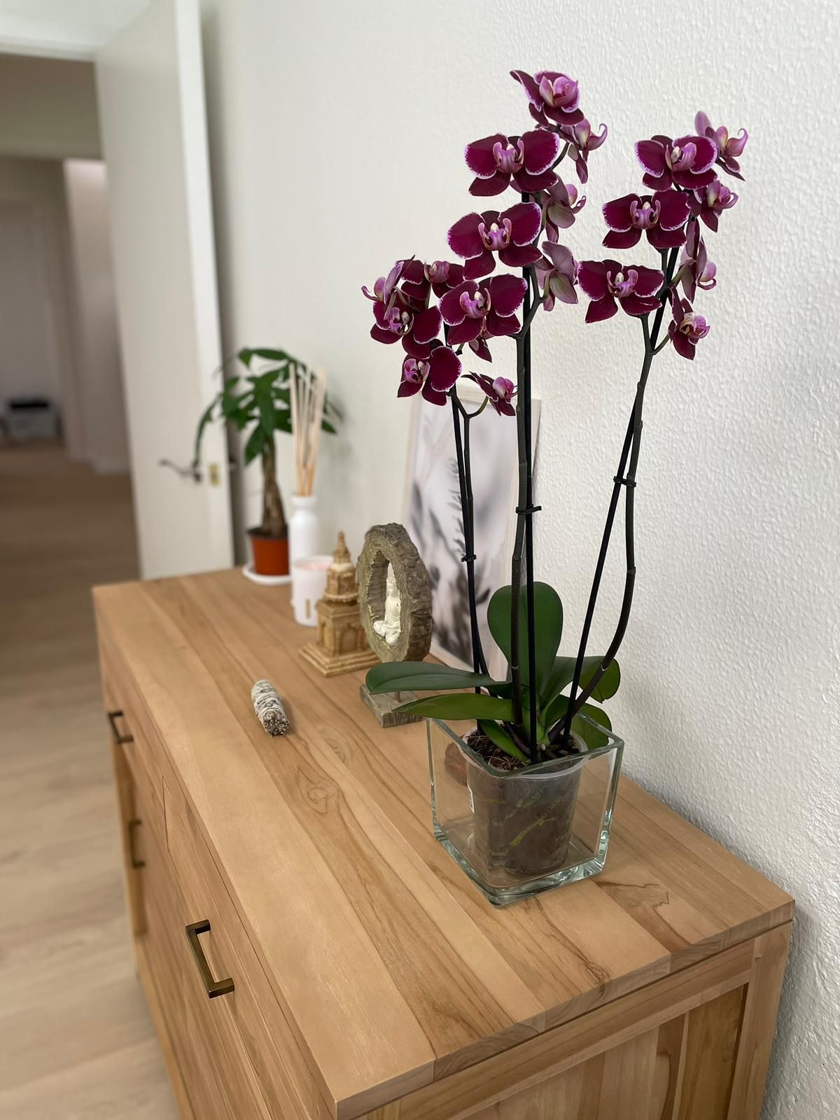 Santiago Madero Gómez-0