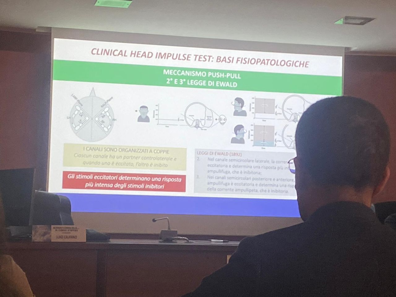 Maria Loreto Romano-14