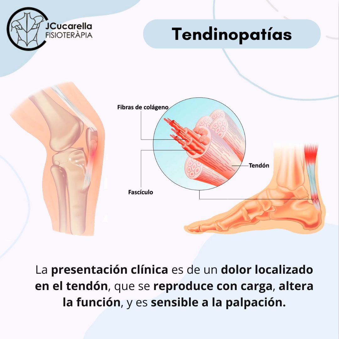 Javier Cucarella Bellvís-13