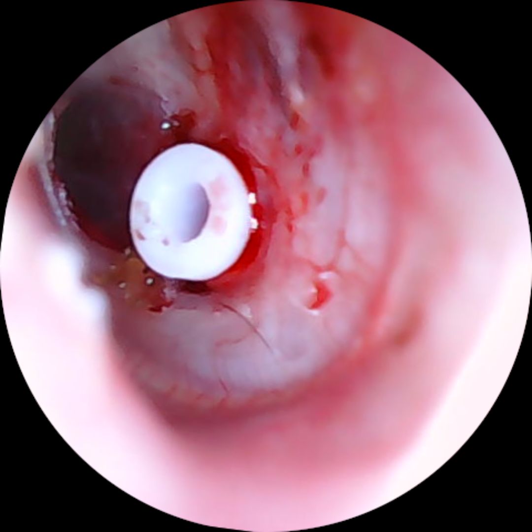 José María Santos Corchero-3