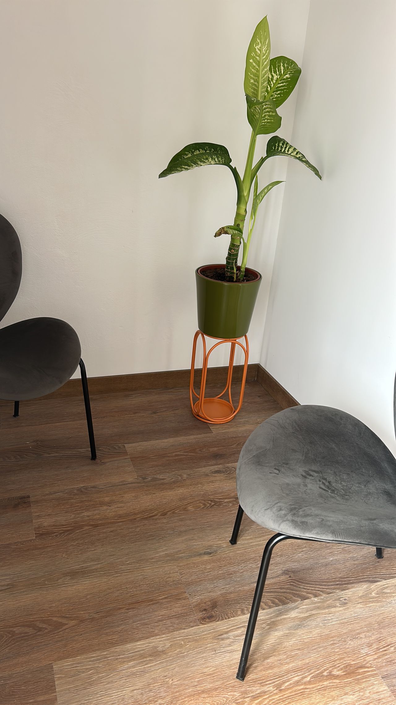 Maria Angélica Giordano Caraballo-11