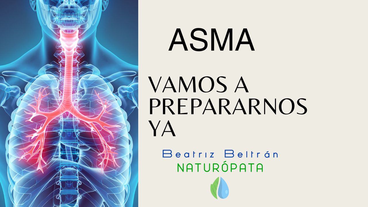 Beatriz Beltran Jordá-22